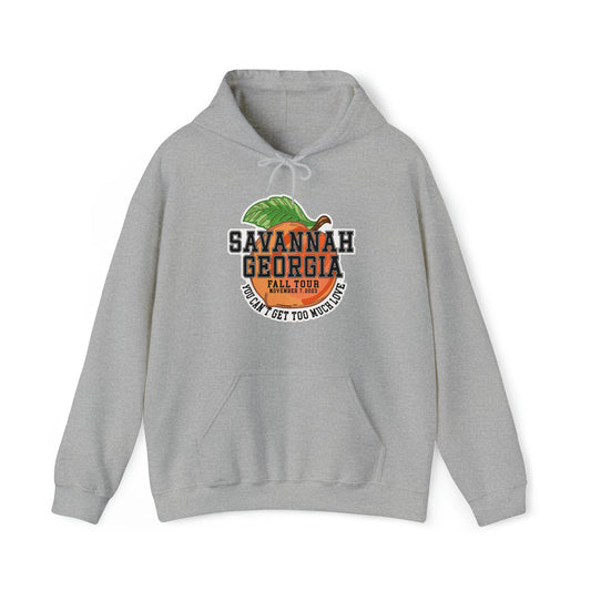 Georgia Fall Tour 2023 Hoodie w/set list