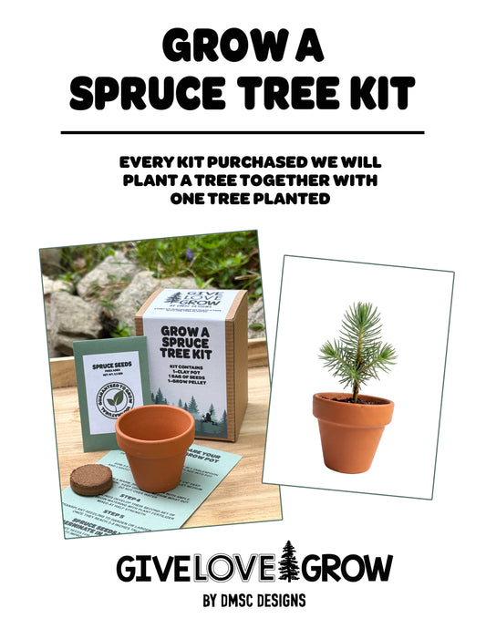 Grow A Spruce Tree Kit