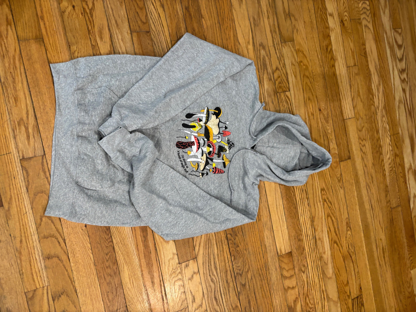 Walk Around the Moon Hoodie size small