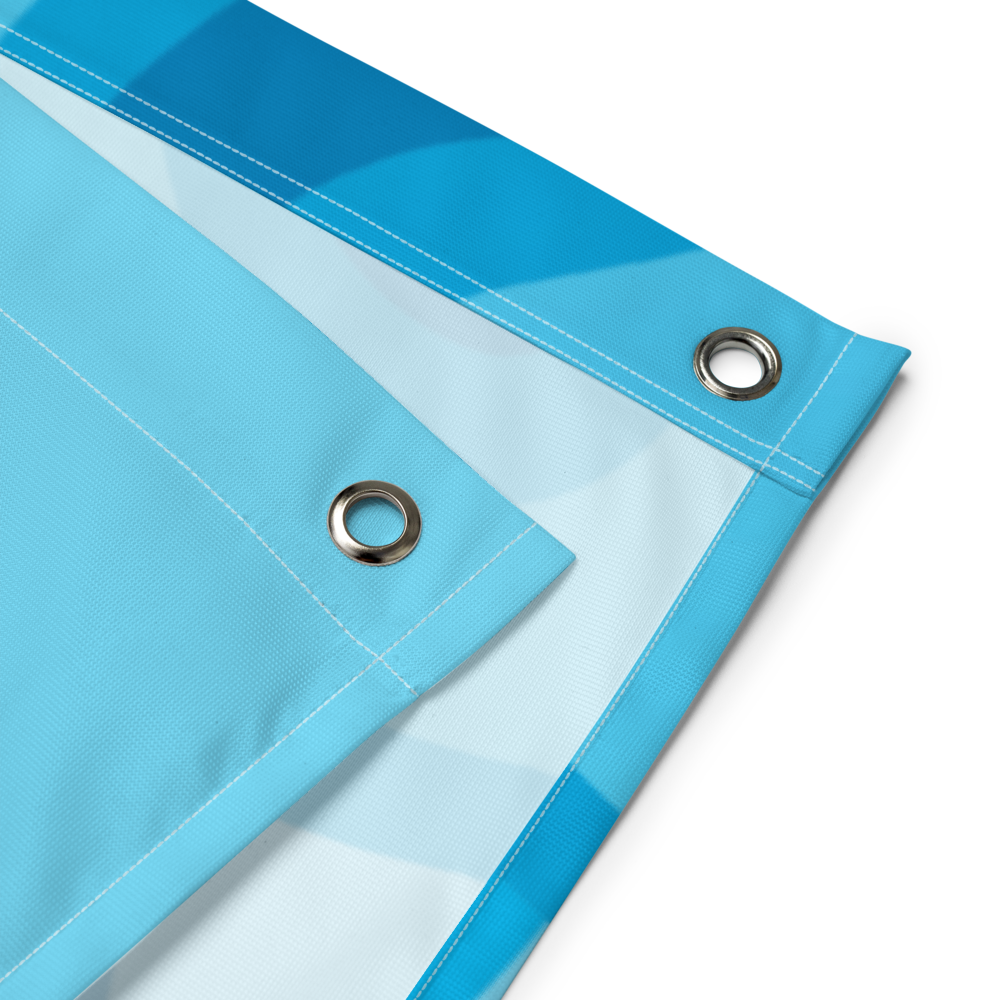 Big Eyed Fish Flag 36x60