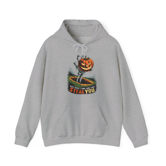 I Will Steal You Halloween Hoodies