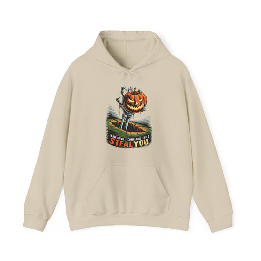 I Will Steal You Halloween Hoodies