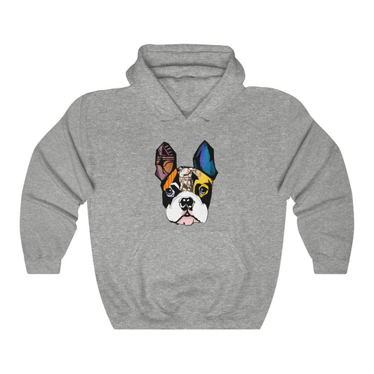 Colorful Dog Hoddie