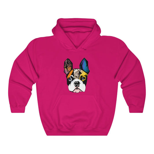 Colorful Dog Hoddie