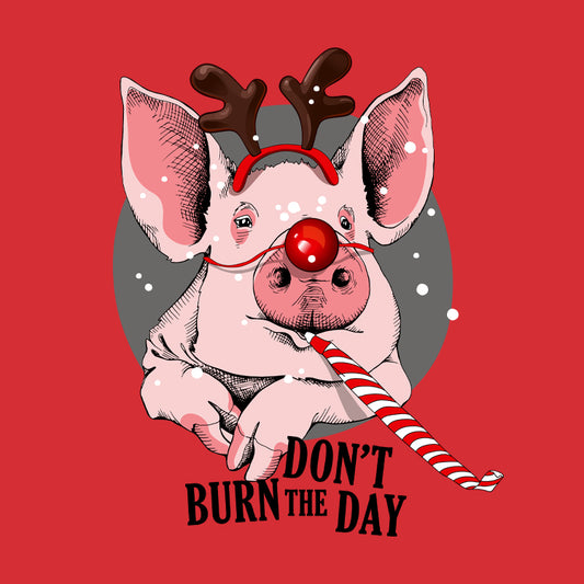 Don't Burn The Holi-day
