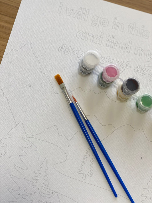 Paint By Numbers #41