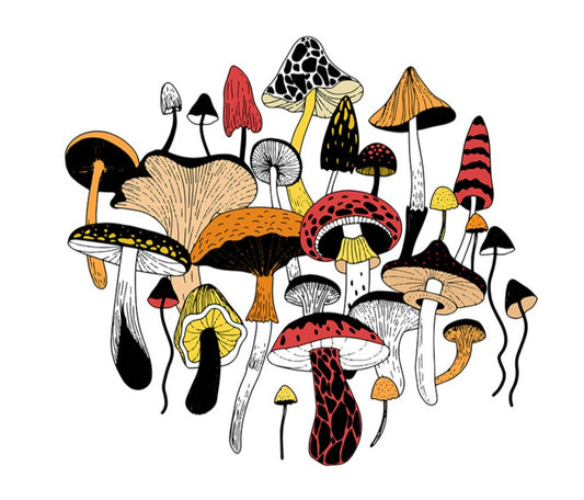 Magic Stuff Color Art Print