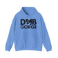 The Gorge 2024 Hoodie W/ Set List