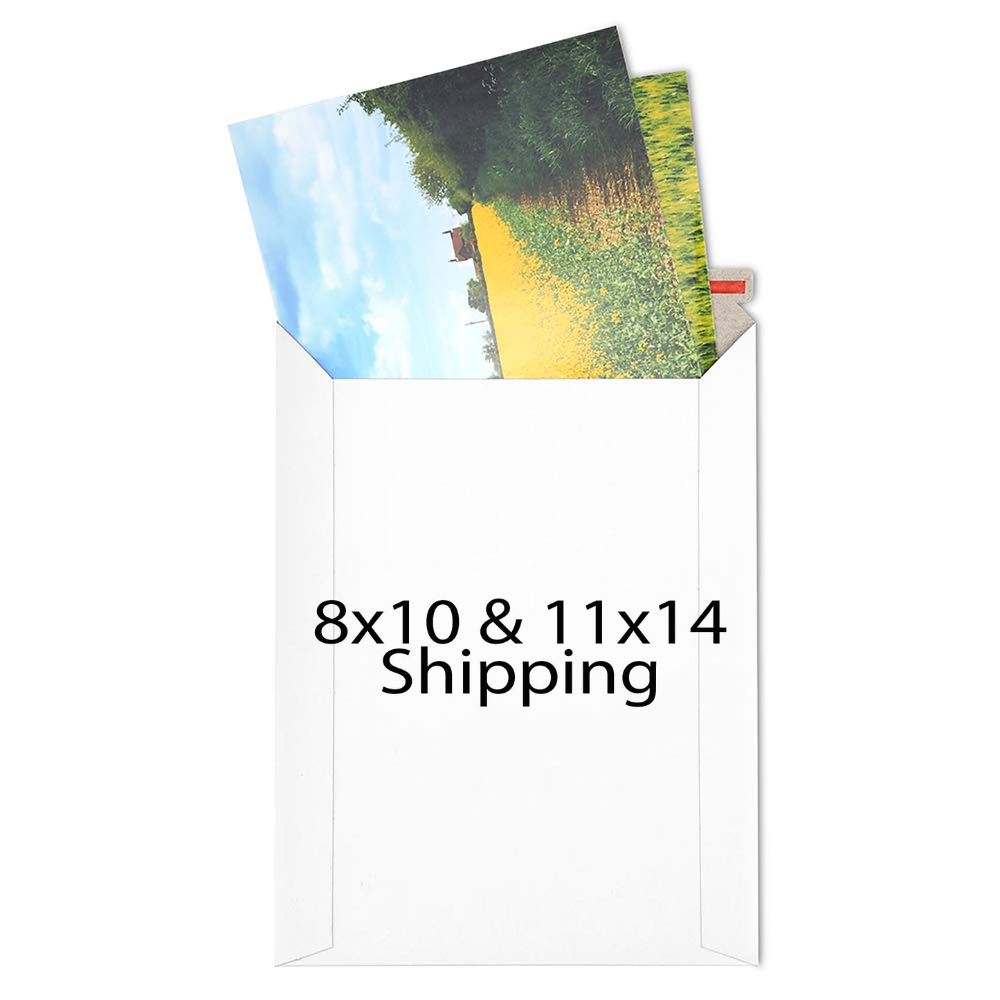 I could never love again. Greeting card