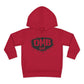DMB Kid *Toddler Hoodie