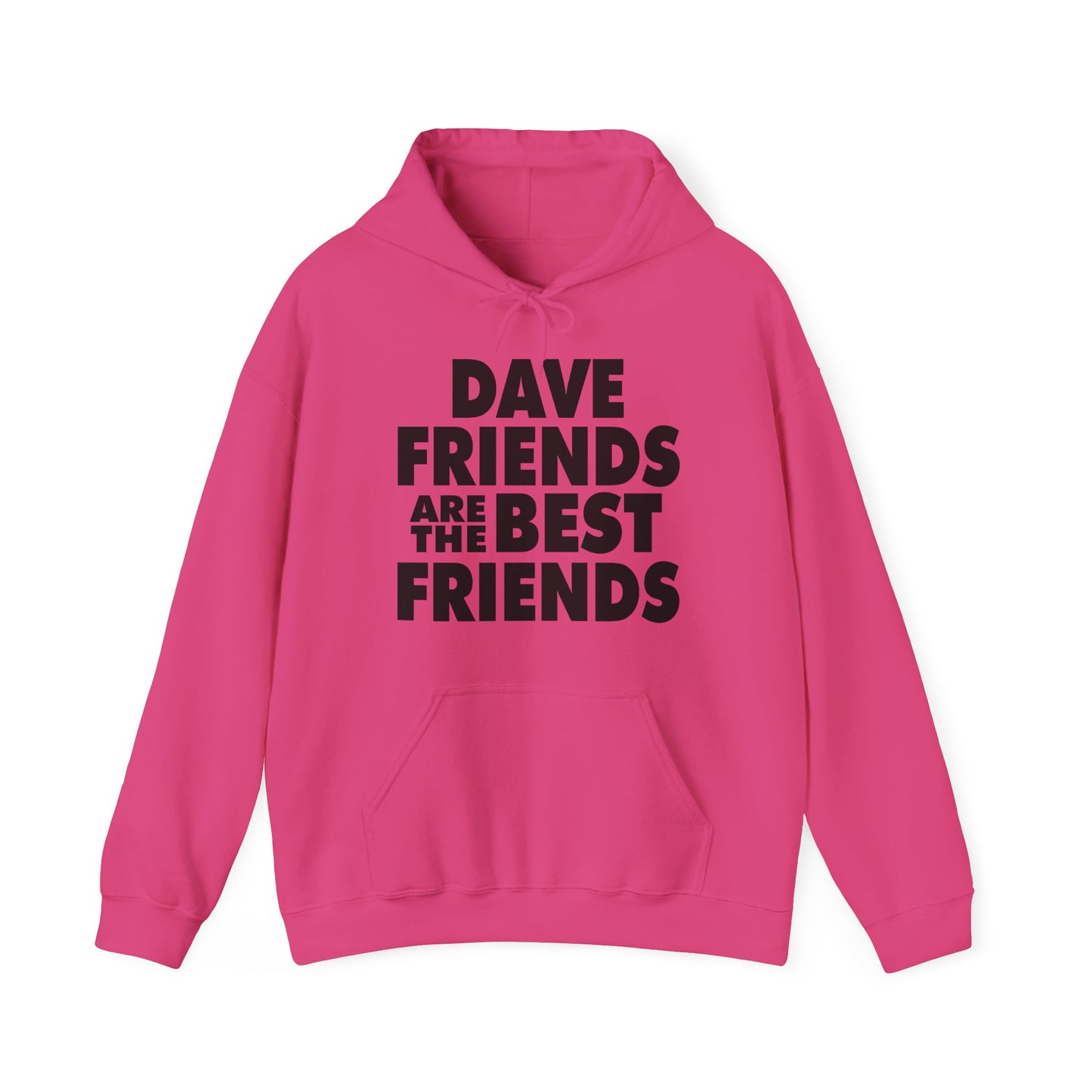 Dave Friends are the Best Friends Hoodies