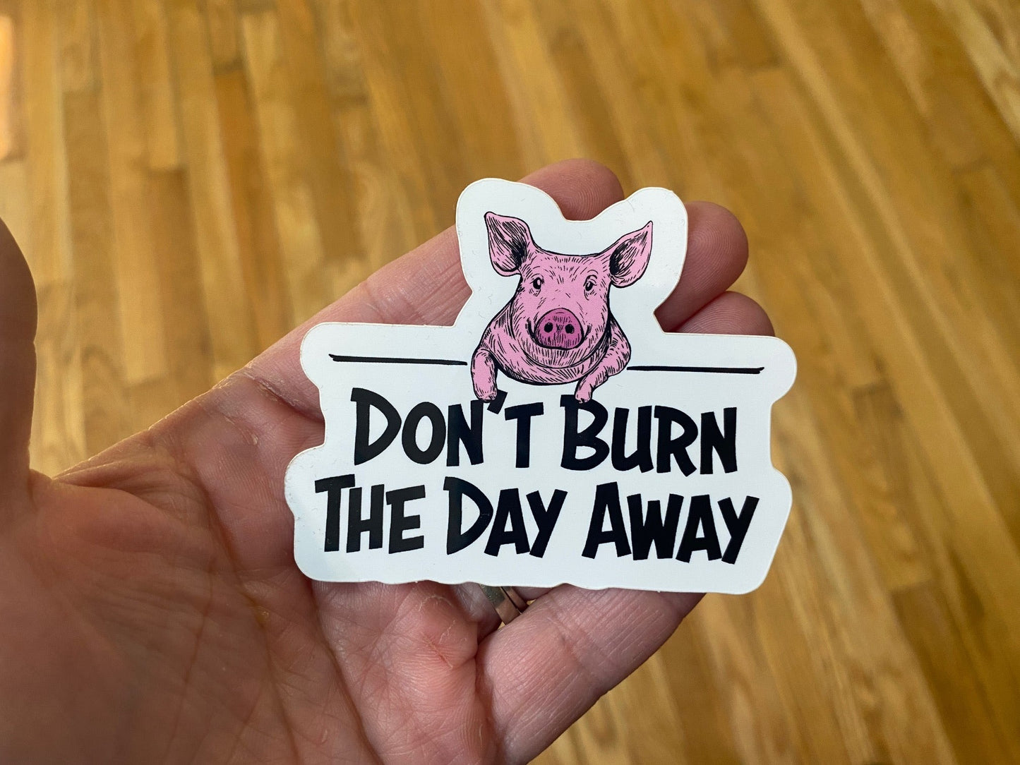 Pig - Don't Burn The Day Away