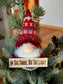 Gnome Plush LIGHT UP In The Dark Be The Light