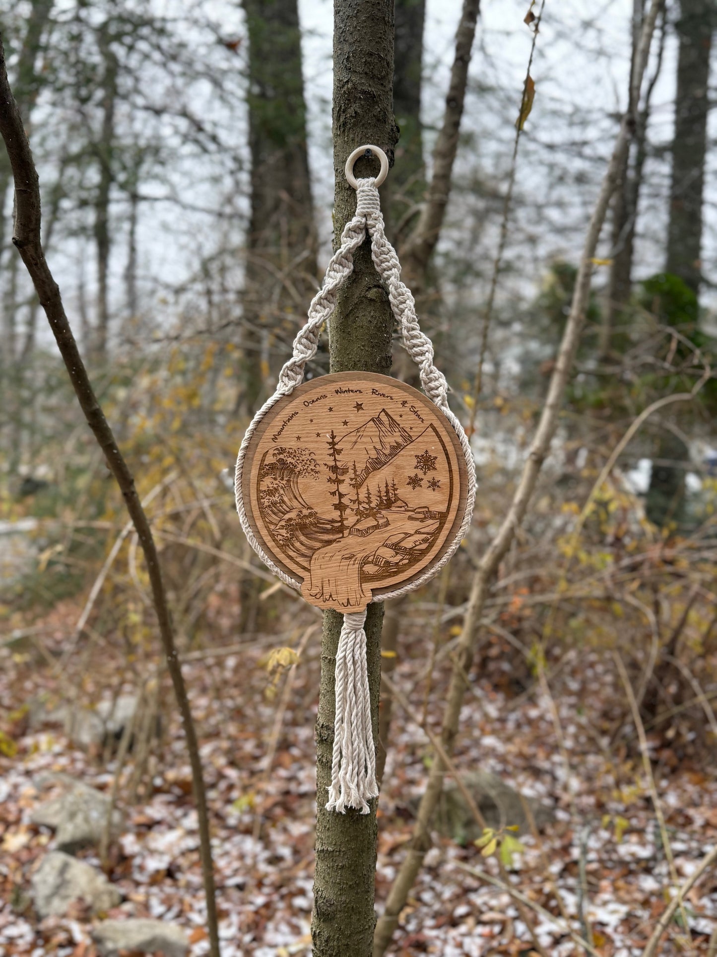 Braided Cord Hanger Art