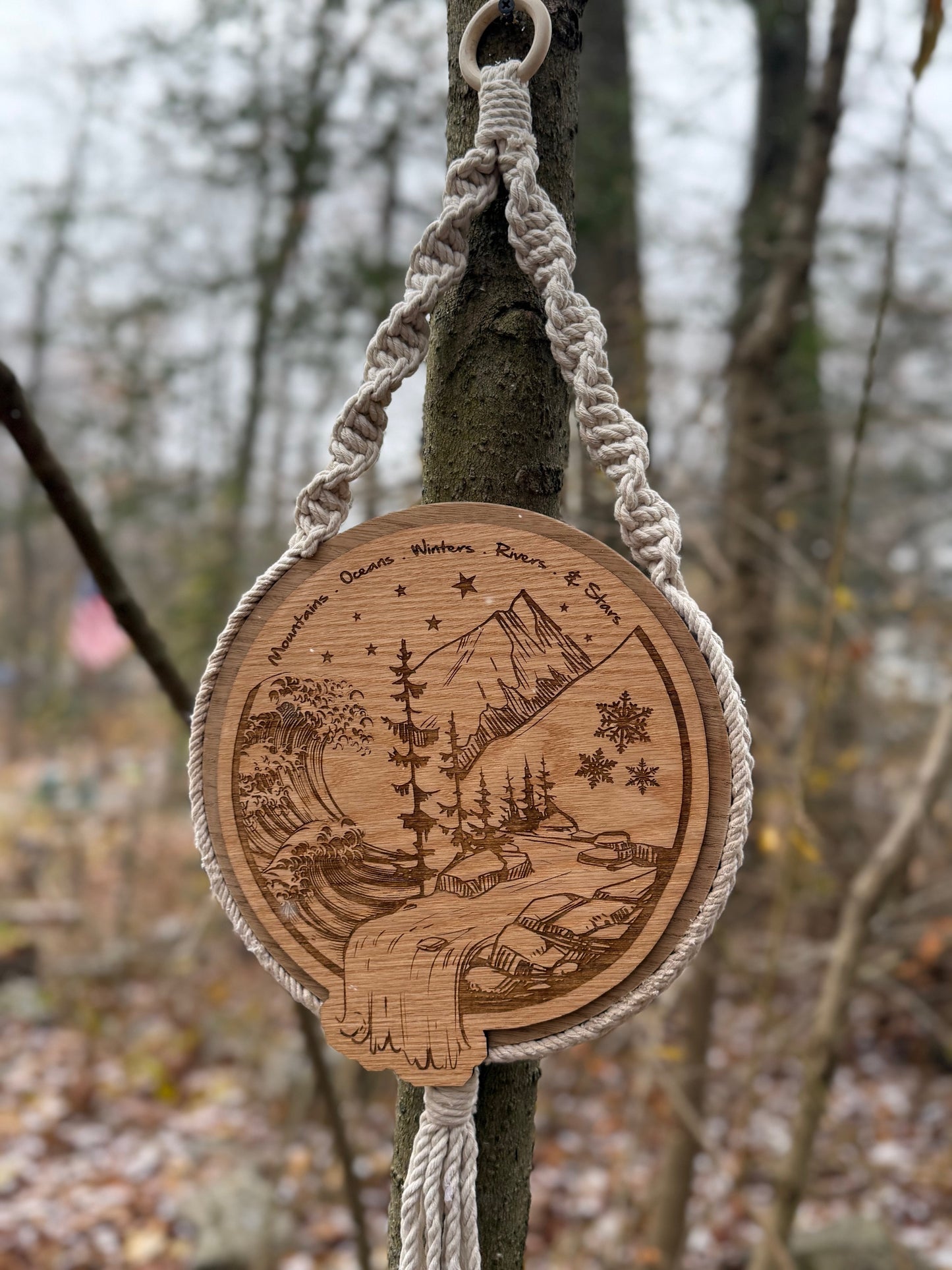 Braided Cord Hanger Art