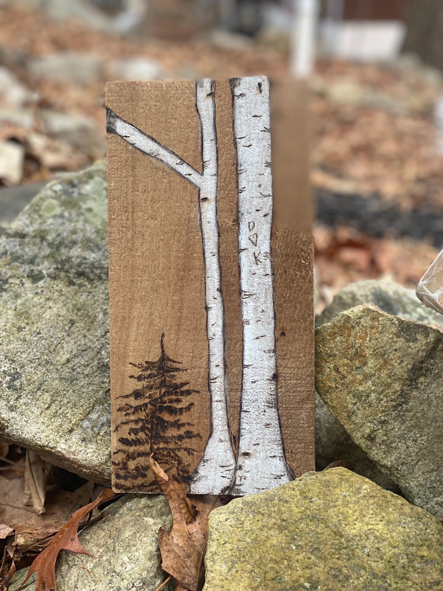 kitchen series *all 3 prints! – wicked leap Images... Custom White Birch Trees Hand Wood Burned Art. – Wicked Leap
