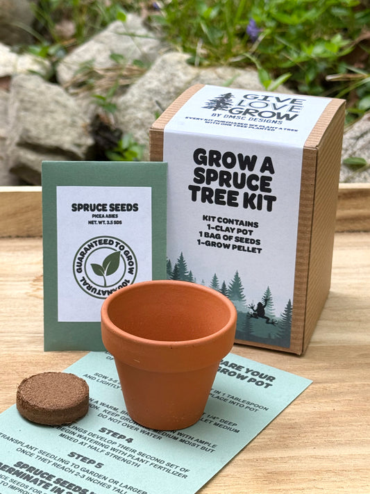 Grow A Spruce Tree Kit