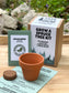 Grow A Spruce Tree Kit
