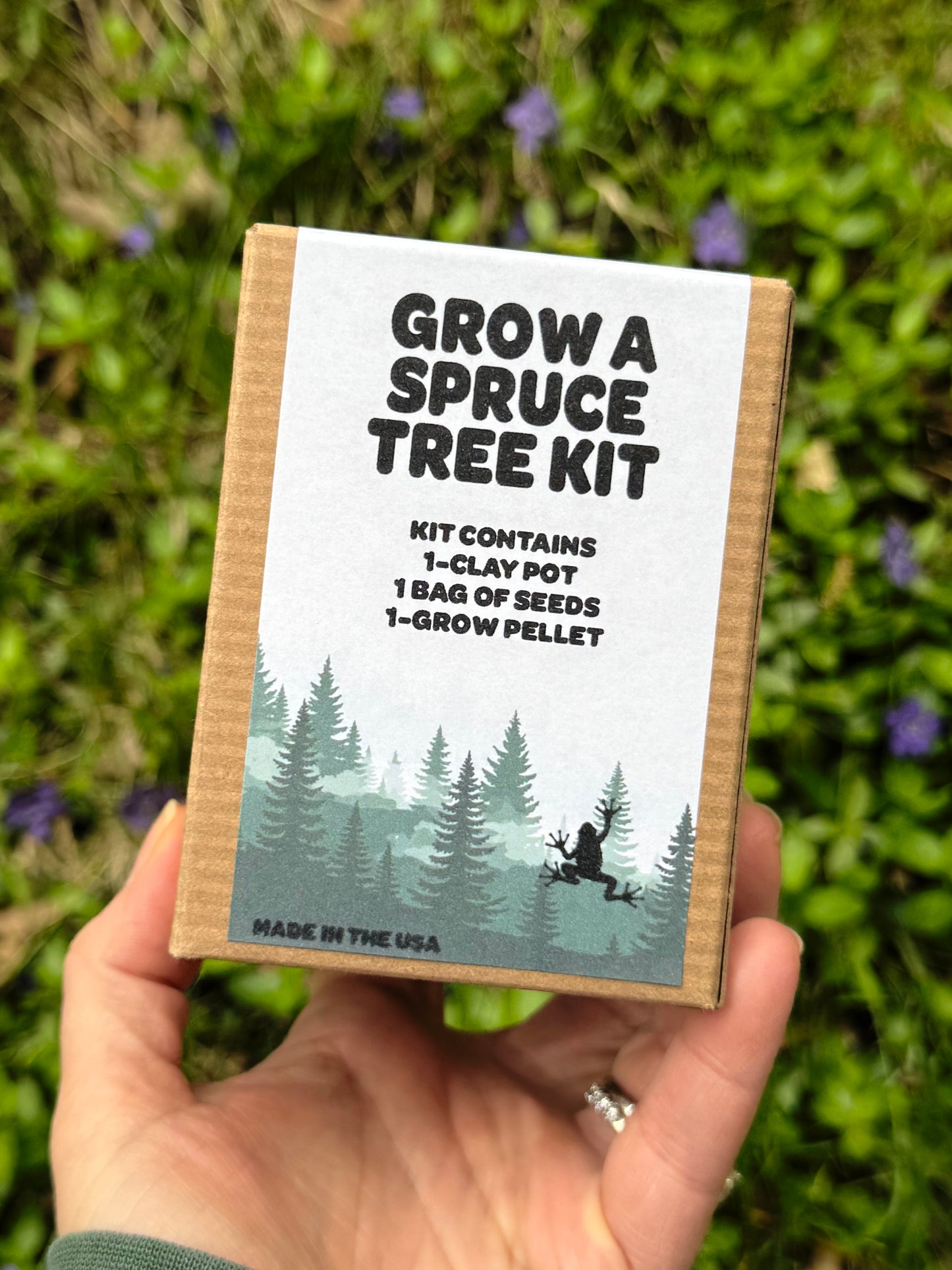 Grow A Spruce Tree Kit
