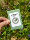 Grow A Spruce Tree Kit