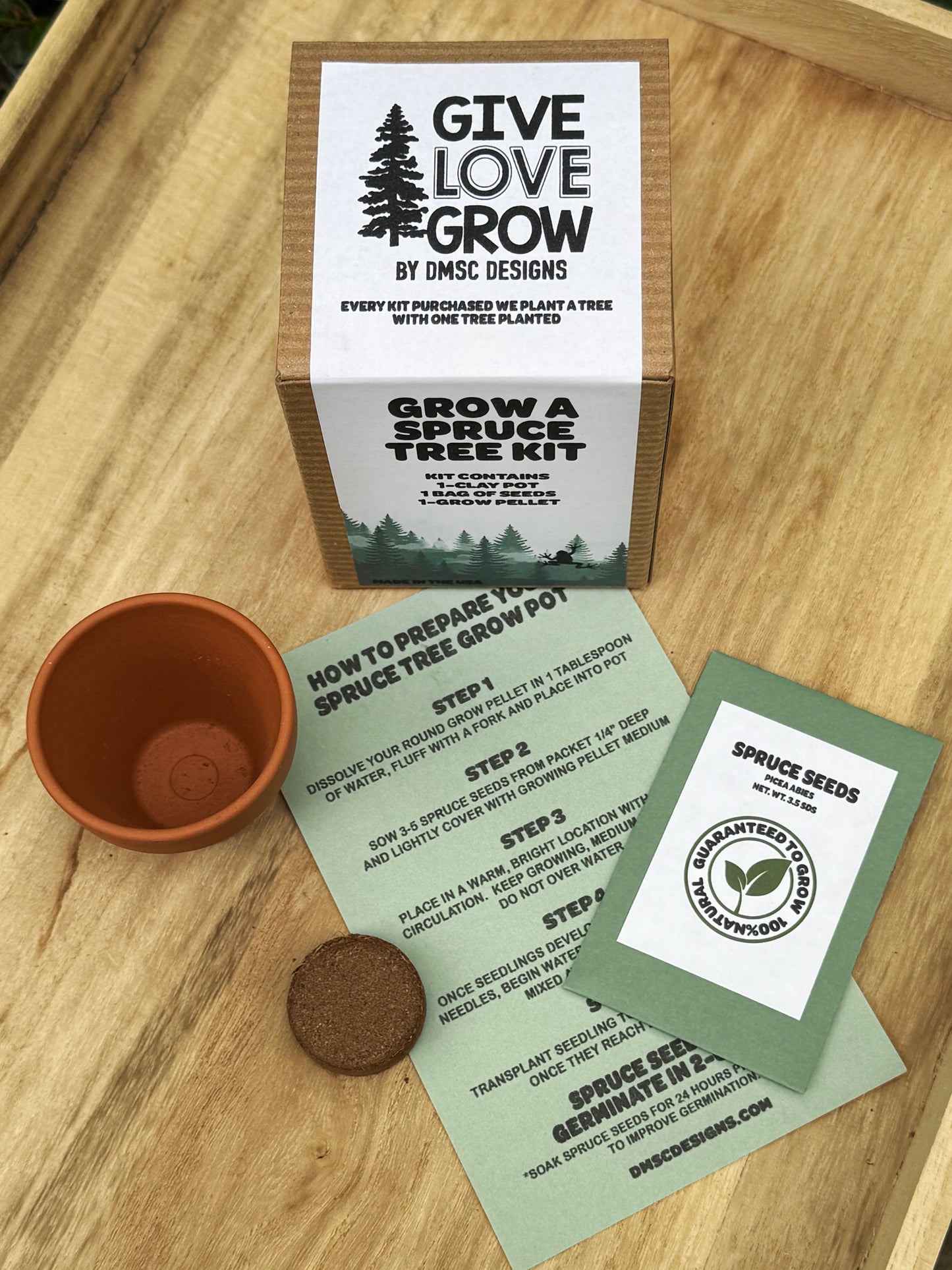 Grow A Spruce Tree Kit