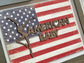 American Baby Multi Media With Frame