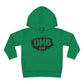 DMB Kid *Toddler Hoodie