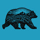 Black Bear