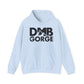 The Gorge 2024 Hoodie W/ Set List