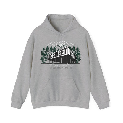 Merriweather 2025 Hoodie *With Setlist