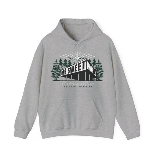 Merriweather 2025 Hoodie *With Setlist