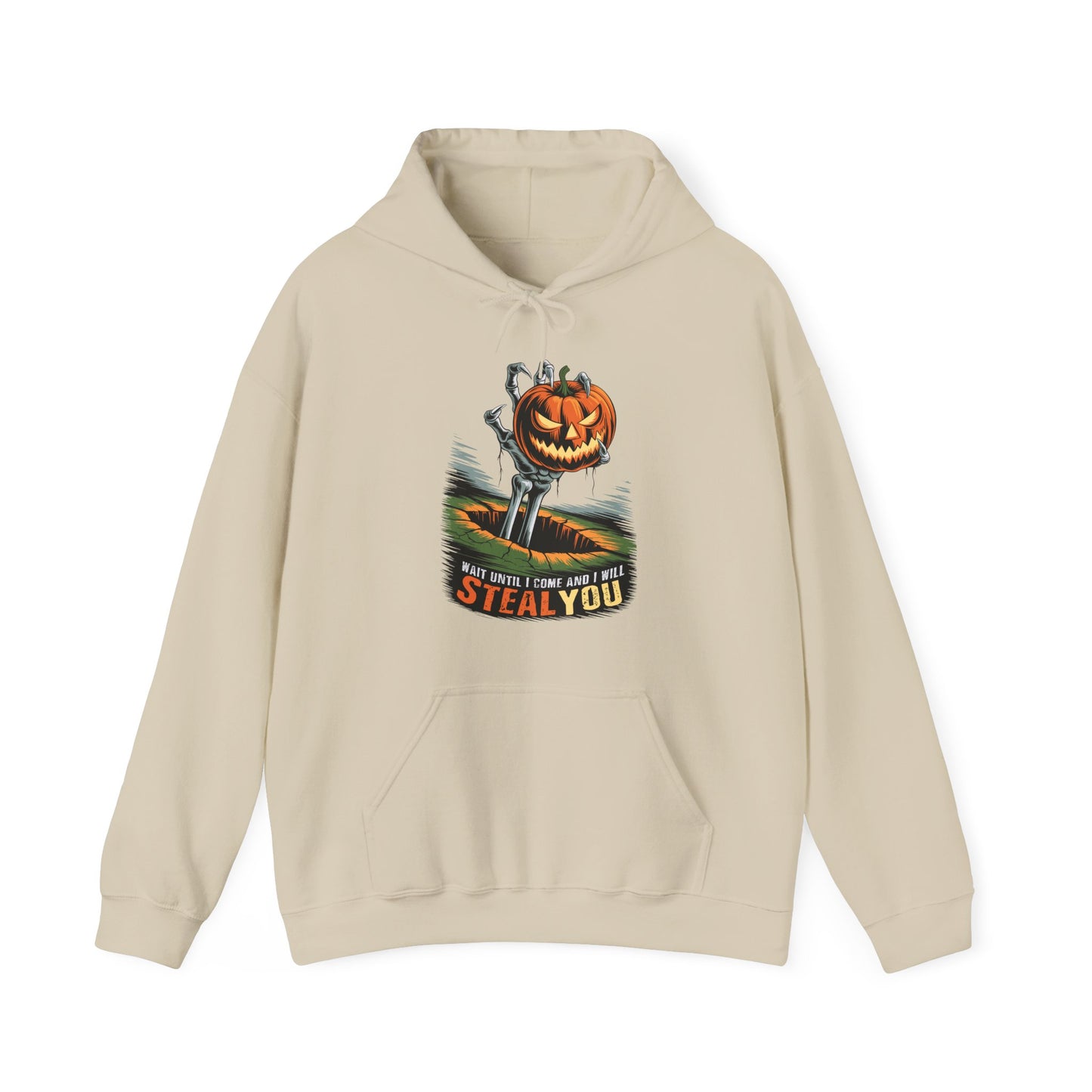 I Will Steal You Halloween Hoodies