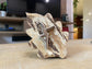 Raw Wood leaf Cutout Fall Decor