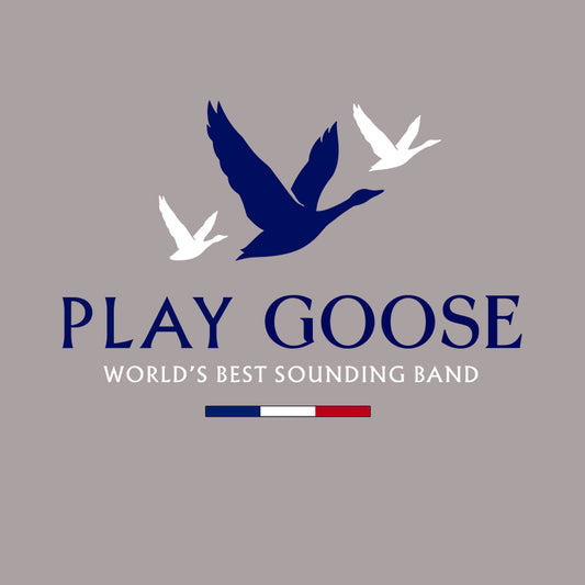 Play Goose