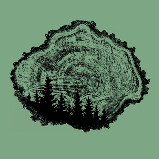 Tree Rings