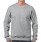 Build your own Crew Neck Sweatshirt (Gildan)