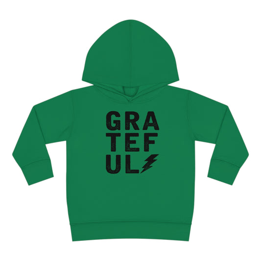 Grateful Grunge Toddler Hoodies