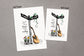 Grey Street Design 1 Greeting Card