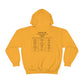 Mexico Turtle W/SET LIST Hoodie
