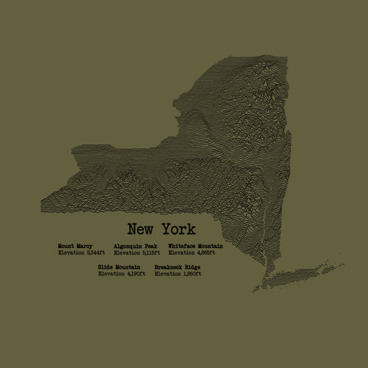New York Mountain Stats