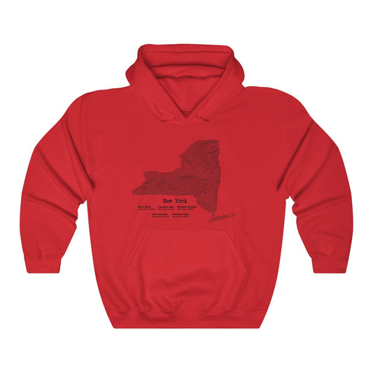 New York Mountain Stats Hoodie