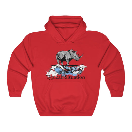 It's A Typical Situation Hoodie