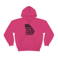 Alpharetta Georgia 2023 Hoodie *With Setlist