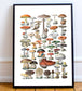 Fungi Chart Art Print