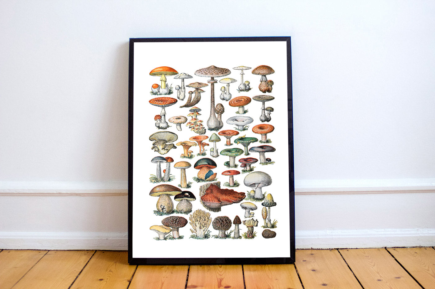 Fungi Chart Art Print