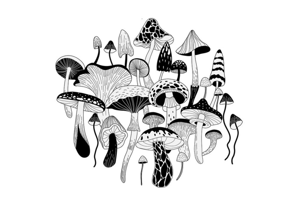Magic Stuff B&W Art Print